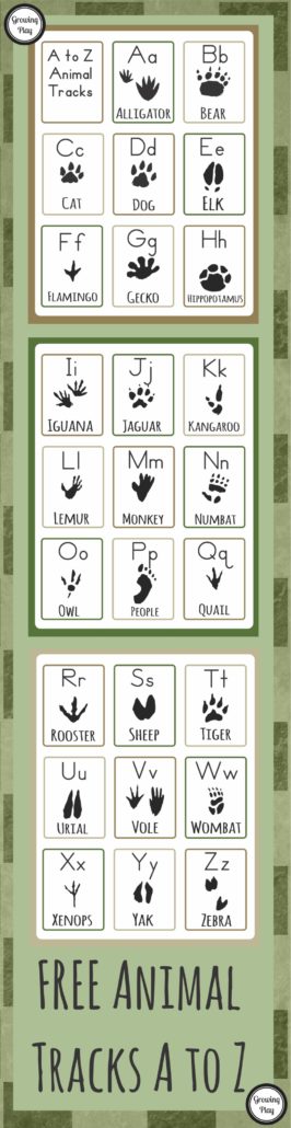 Animal Track Flashcards A to Z FREE from Growing Play