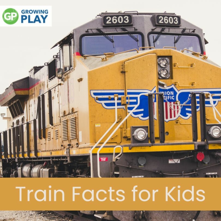 TrainFactsforKids Growing Play
