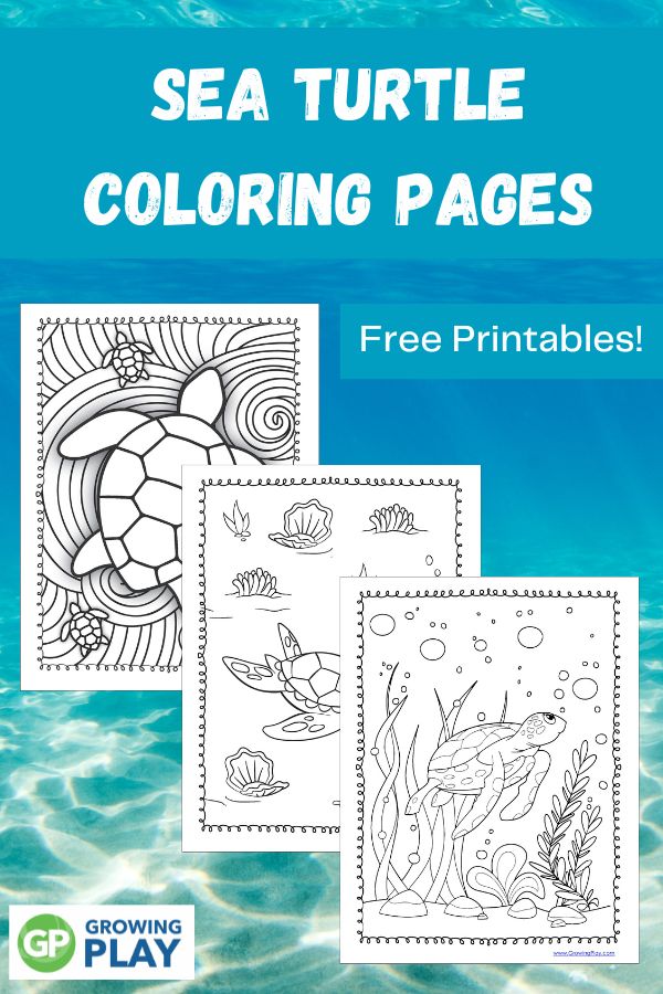 Sea Turtle Coloring Pages - Free Printables - Growing Play